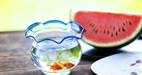 吃瓜黑样不打料官网,带你走进神秘的网络世界