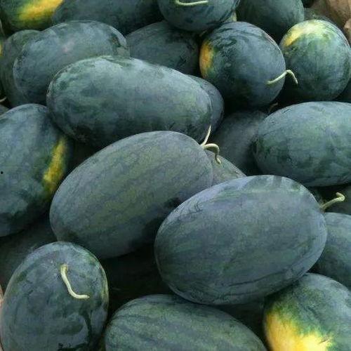 黑料吃瓜网799点su,带你走进神秘网络世界